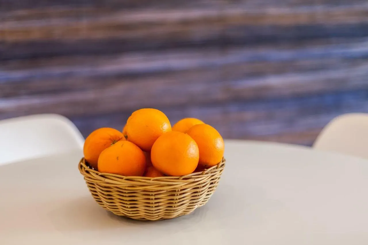 Sao Bento Blue One-Bedroom Apartment - By Lu Holidays Lisbon Portugal